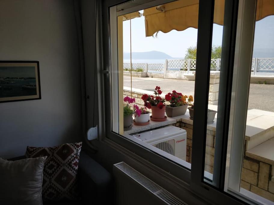 Ionian Blue Studio Preveza Ngoại thất bức ảnh